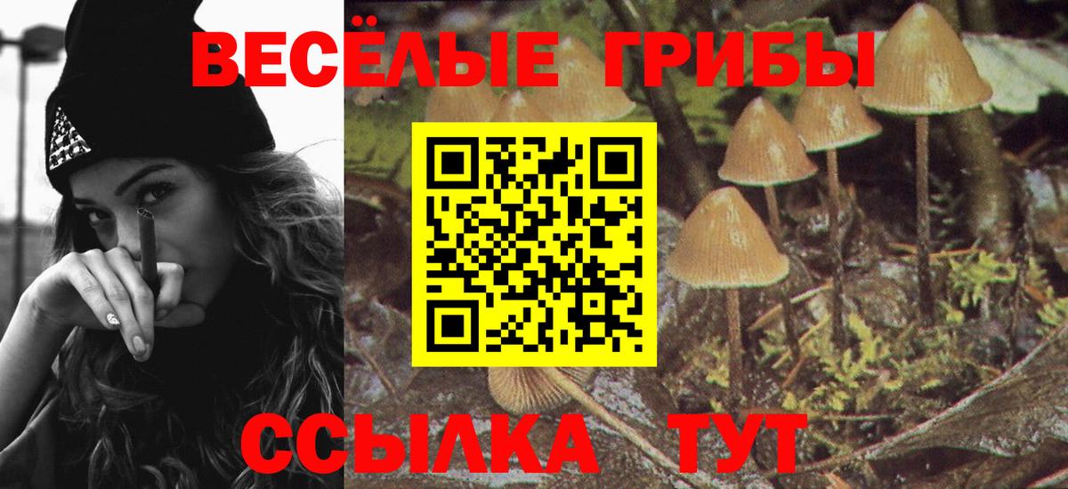 Псилоцибиновые грибы ЛСД Озёры