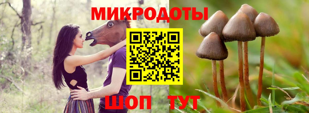 где продают   Псилоцибиновые грибы GOLDEN TEACHER  Вход с VPN  Озёры 